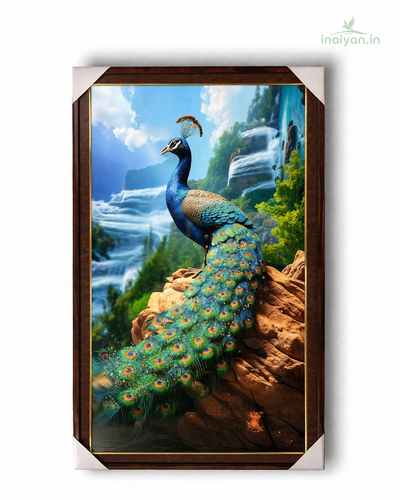 Majestic Peacock Wall Frame - 40 × 20 Inch