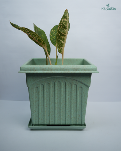 Square Slate Grey Tulsi Planter