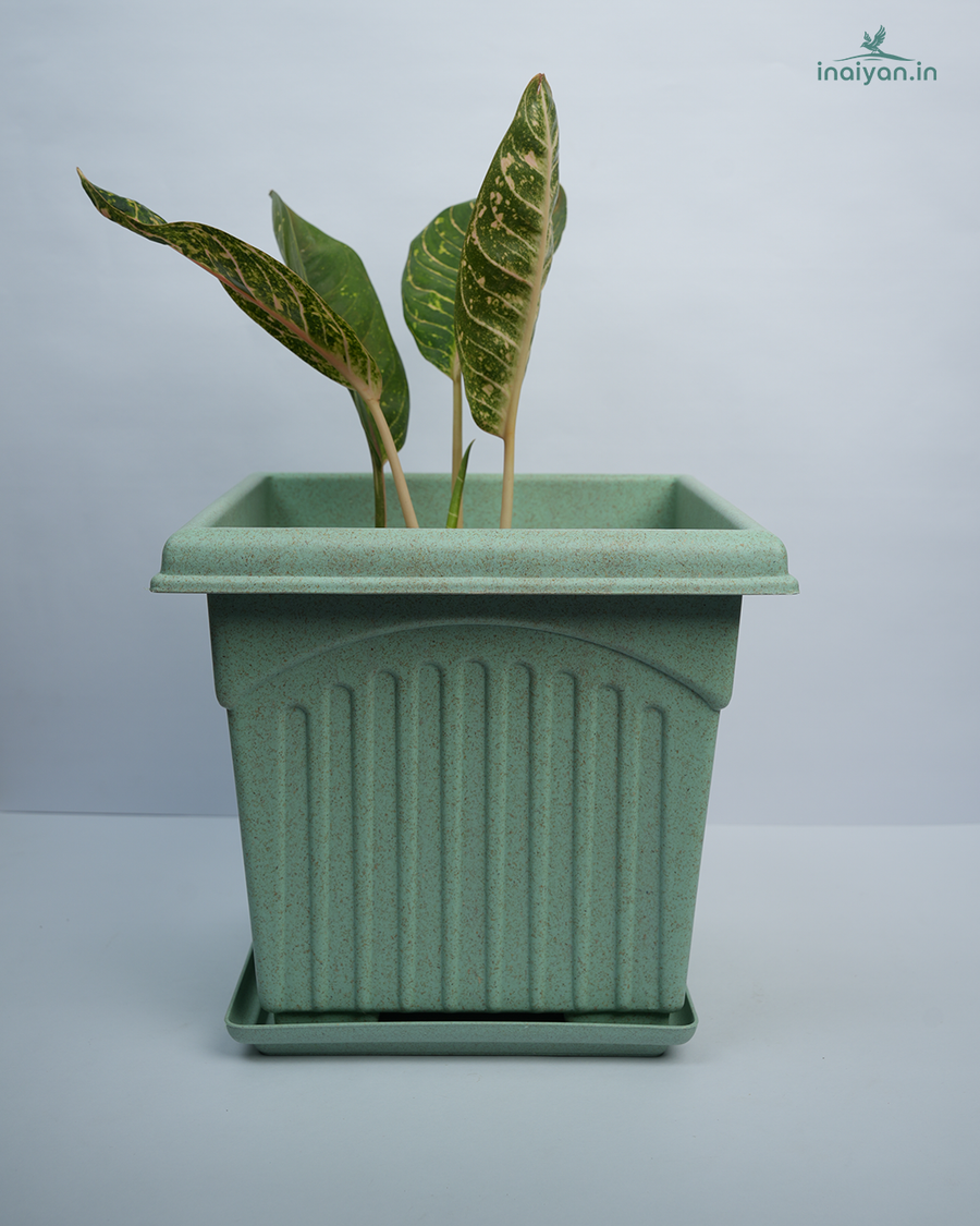 Square Slate Grey Tulsi Planter