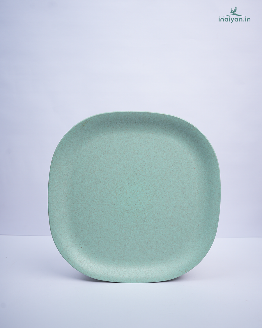 Eco Round Dinner Plate - Set of 2 Lime Green