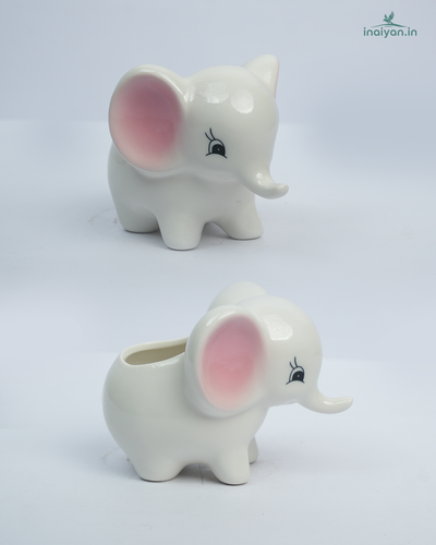 Elephant Shaped Ceramic Eco Succulent Planter