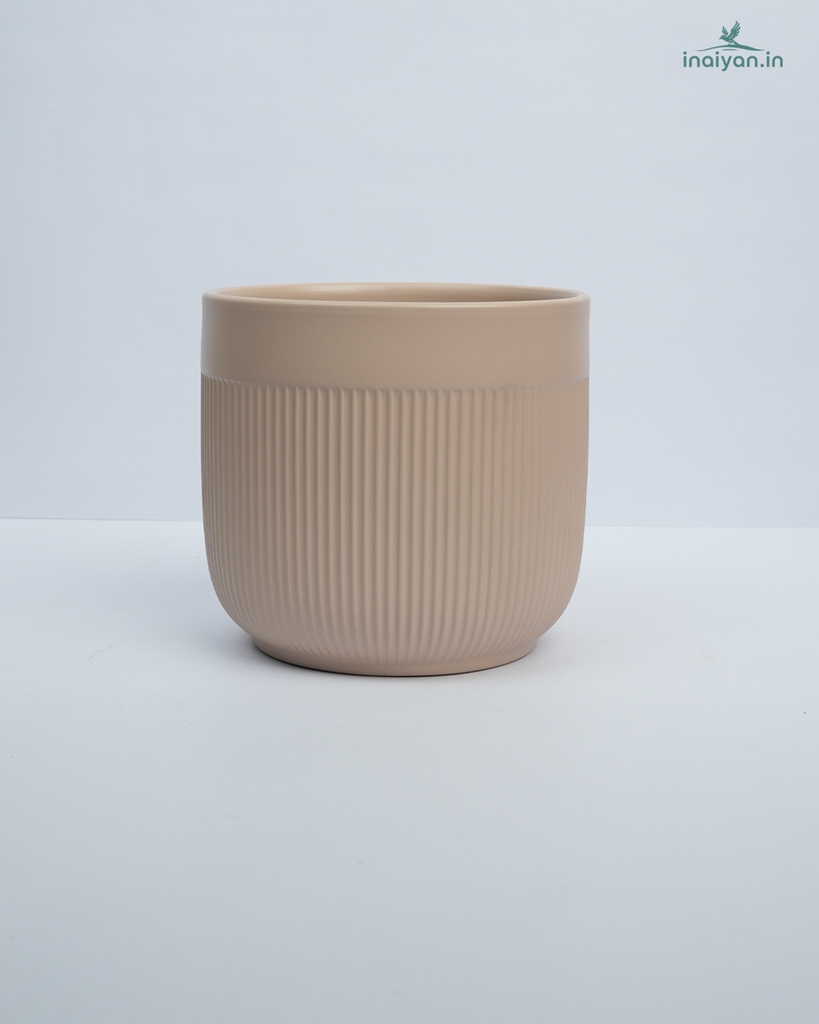 Warm Beige Ribbed Tall Ceramic Planter