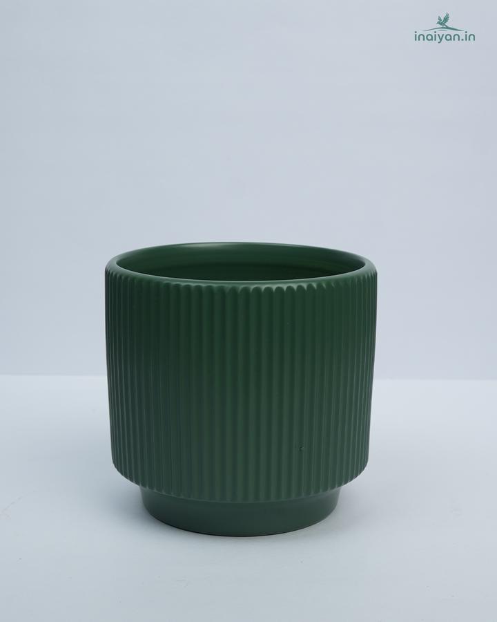 Forest Green Deep Ribbed Cylinder Ceramic Pot - 5.5"