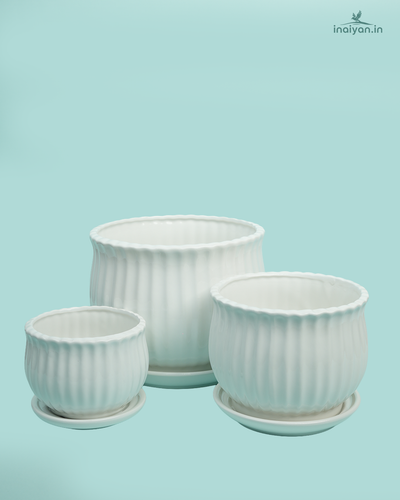 Linen-Texture Matte Ceramic Garden Pot Set