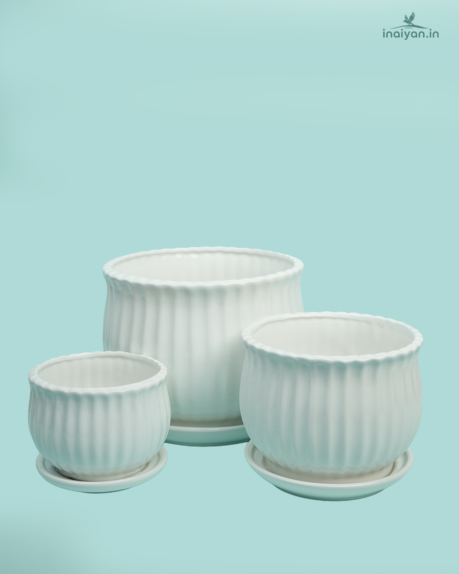 Linen-Texture Matte Ceramic Garden Pot Set