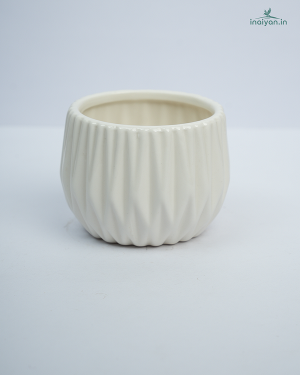 Chalk White Ribbed Ceramic Mini Pot - 3"