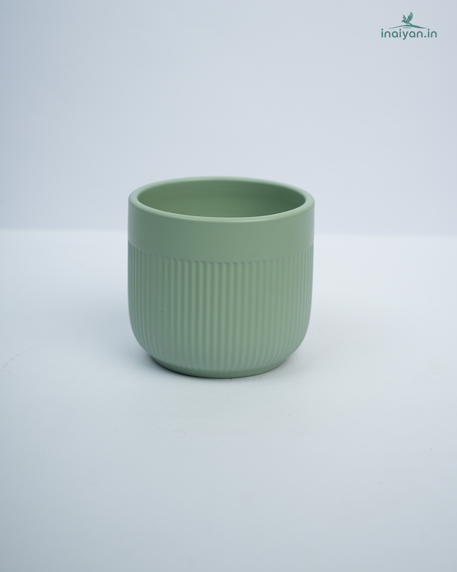 Sage Green Ribbed Cylinder Ceramic Planter