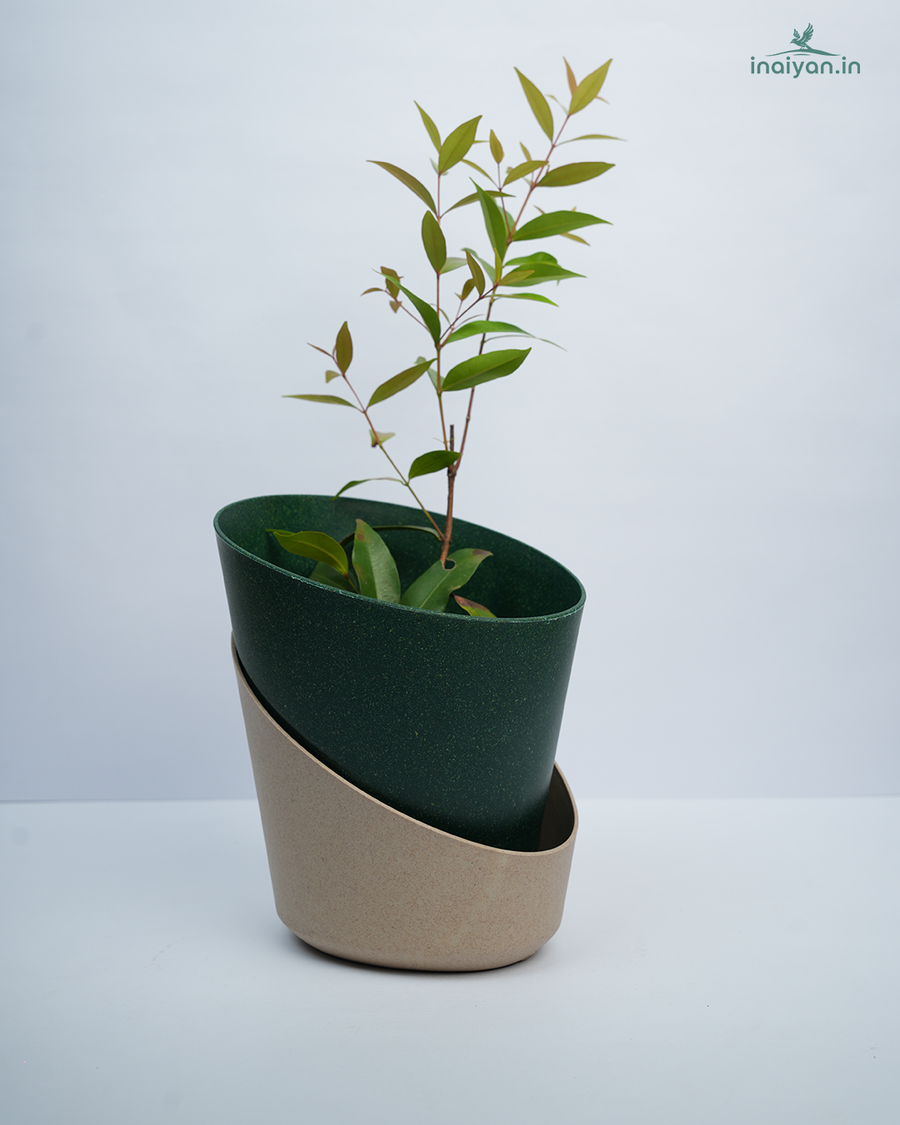 Dual-Tone Self-Watering Eco Planter - Dark Green