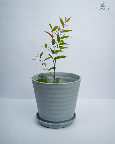 Classic Ribbed Eco Round Garden Planter