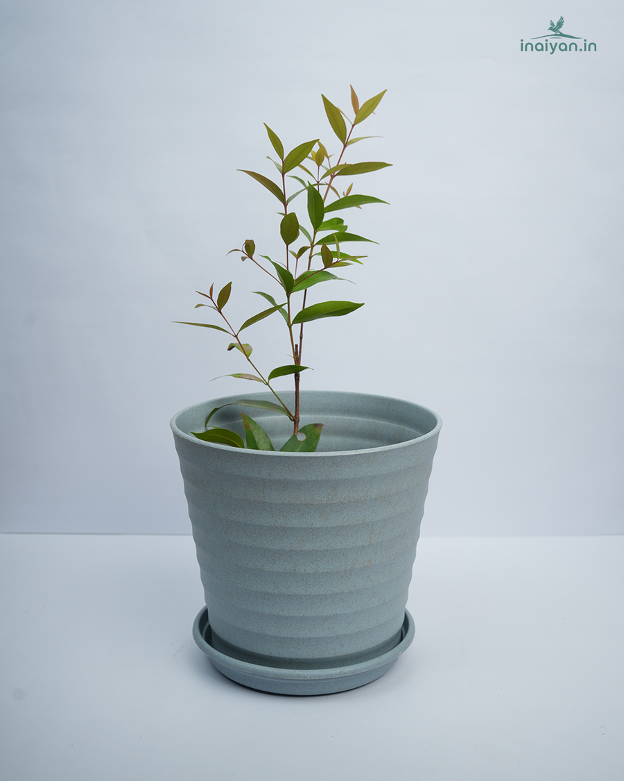 Classic Ribbed Eco Round Garden Planter