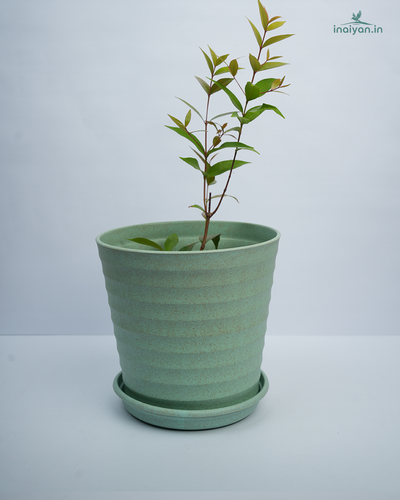 Ribbed Round Garden Planter - Sage Green