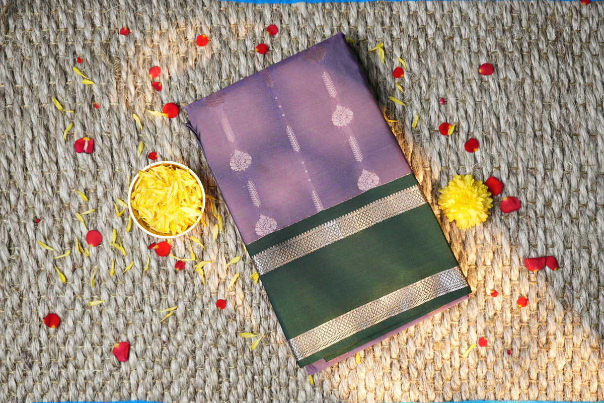 Elampillai Box Saree