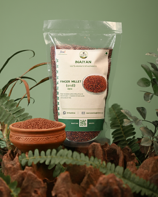 Finger Millet (Ragi / கேழ்வரகு)