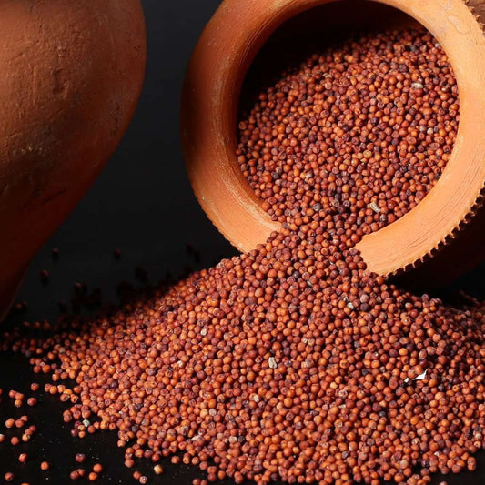 Finger Millet (Ragi / கேழ்வரகு)